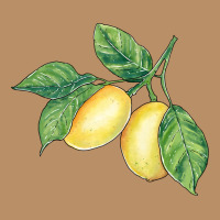 Lemons Vintage Hoodie | Teevron