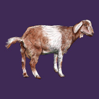 Nubian Goat Premium Hoodie | Teevron