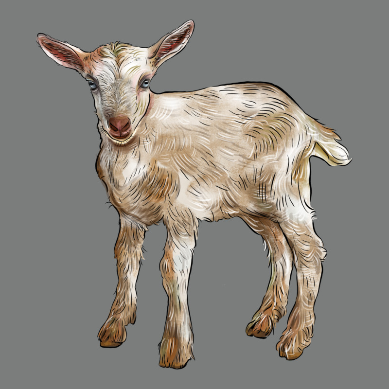Baby Saanen Goat Premium Hoodie by LillyAllenDesigns | Teevron