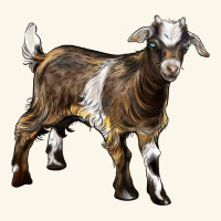 Baby Tennessee Fainting Goat Premium Hoodie | Teevron
