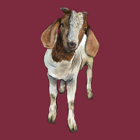 Boer Goat Premium Hoodie | Teevron