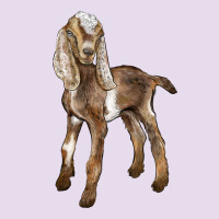 Baby Nubian Goat Premium Hoodie | Teevron