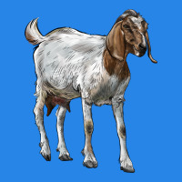 Boer Goat Premium Hoodie | Teevron