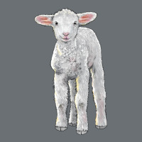 Merino Wool Baby Sheep Premium Hoodie | Teevron