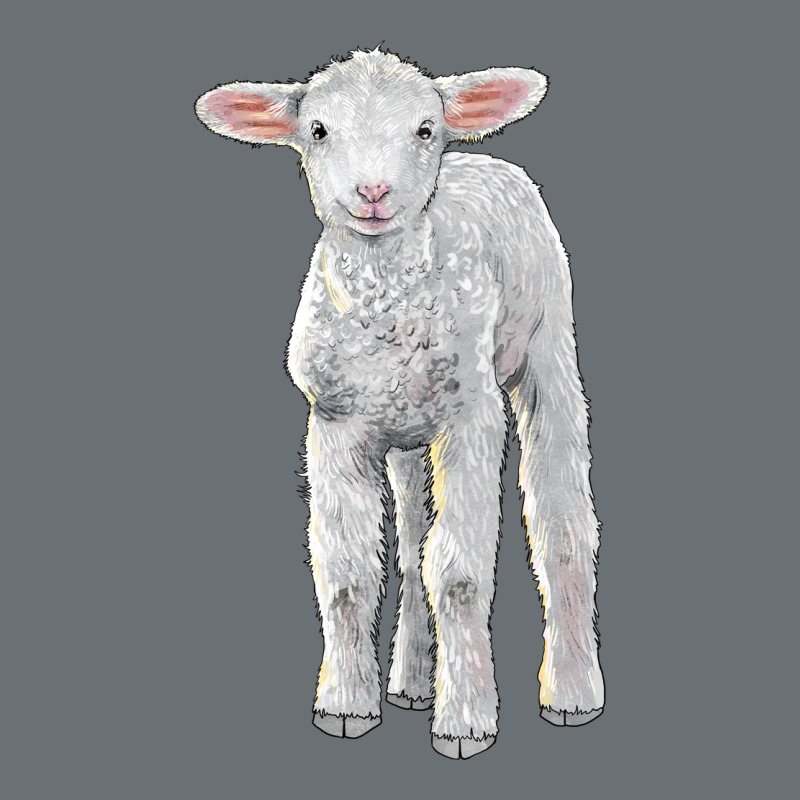 Merino Wool Baby Sheep Premium Hoodie by LillyAllenDesigns | Teevron