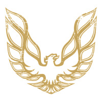 Trans Am | Teevron