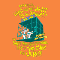 Pinky And The Brain The World Premium Sweatshirt | Teevron