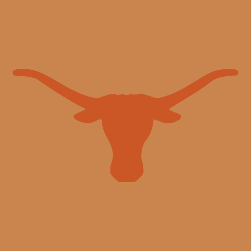 Texas Longhorns Heavyweight Hoodie by DesignPulse | Teevron