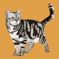 American Shorthair Cat Premium Hoodie | Teevron