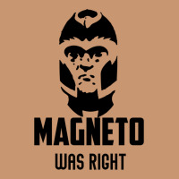 Magneto Was Right Heavyweight Hoodie | Teevron