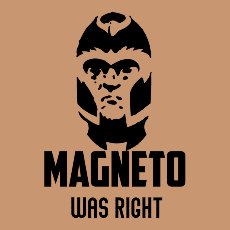 Magneto Was Right Heavyweight Hoodie by PixelWave | Teevron