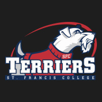 St. Francis Terriers(sfc), Brooklyn Heavyweight Hoodie | Teevron