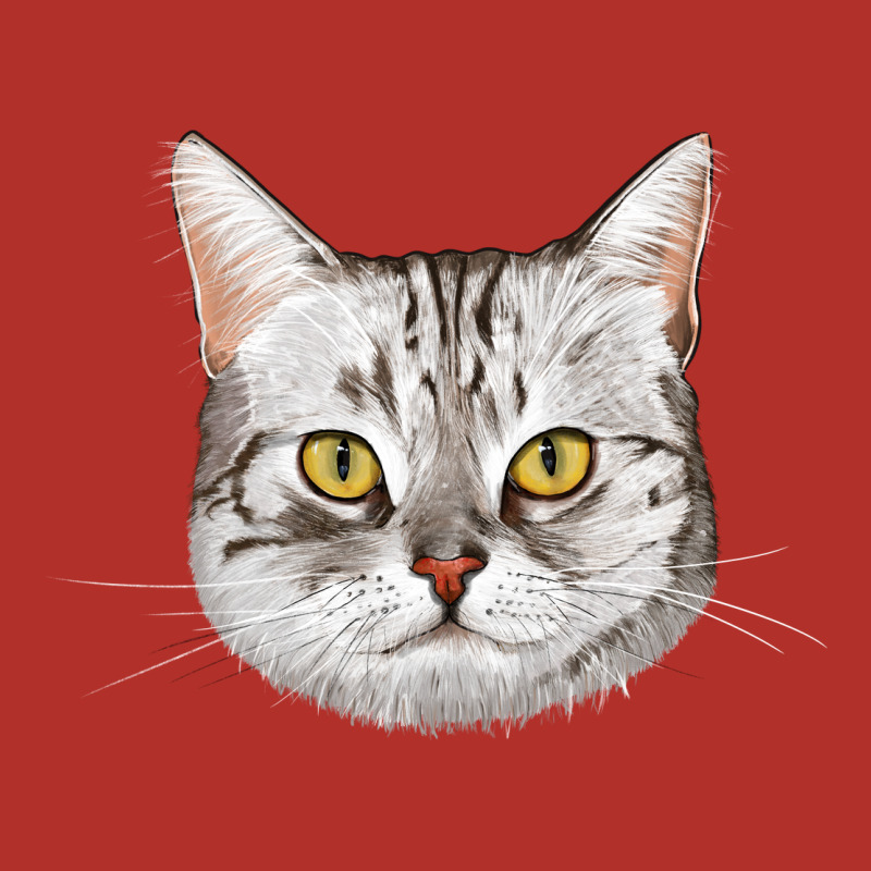 American Shorthair Cat Face Premium Hoodie by LillyAllenDesigns | Teevron