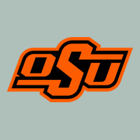 Oklahoma St University Heavyweight Hoodie | Teevron