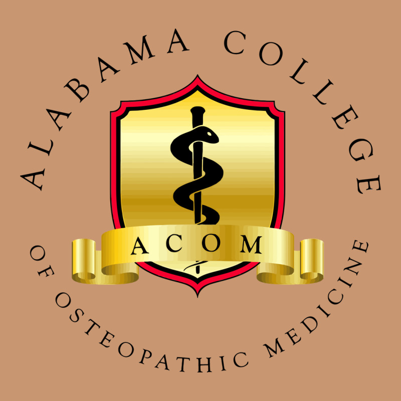 (acom) Al4b4m4, College Of Osteopathic Medicine Heavyweight Hoodie by InspiraDesign | Teevron