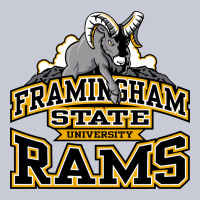 Framingham State Heavyweight Hoodie | Teevron