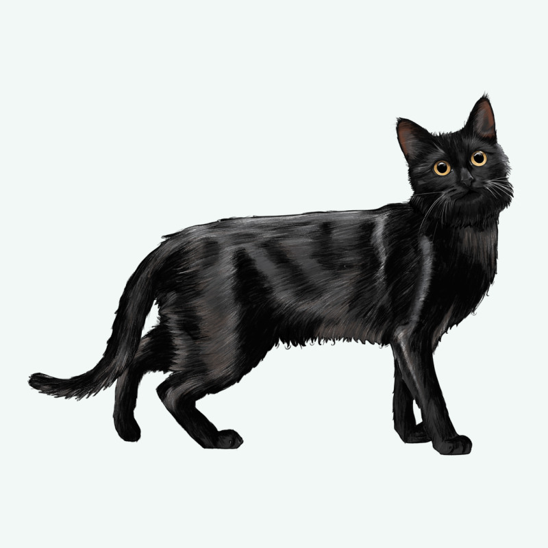 Bombay Cat Premium Hoodie by LillyAllenDesigns | Teevron