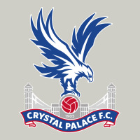 The-crystal-palace-f.c.-cool Heavyweight Hoodie | Teevron