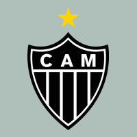 The-atlético-mineiro-merch Heavyweight Hoodie | Teevron