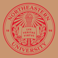 Northeastern University Heavyweight Hoodie | Teevron