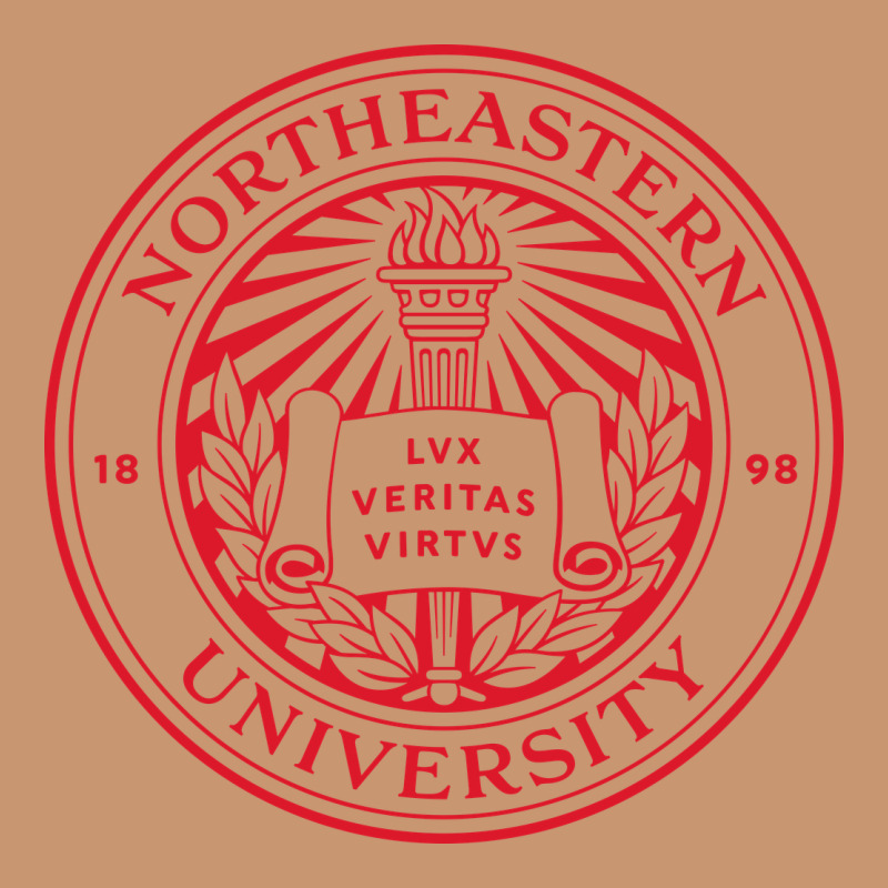 Northeastern University Heavyweight Hoodie by ArtChic | Teevron