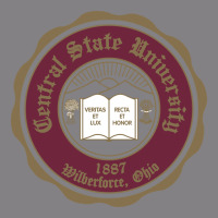 College Of  Central State Wilberfroce 1887 Heavyweight Hoodie | Teevron