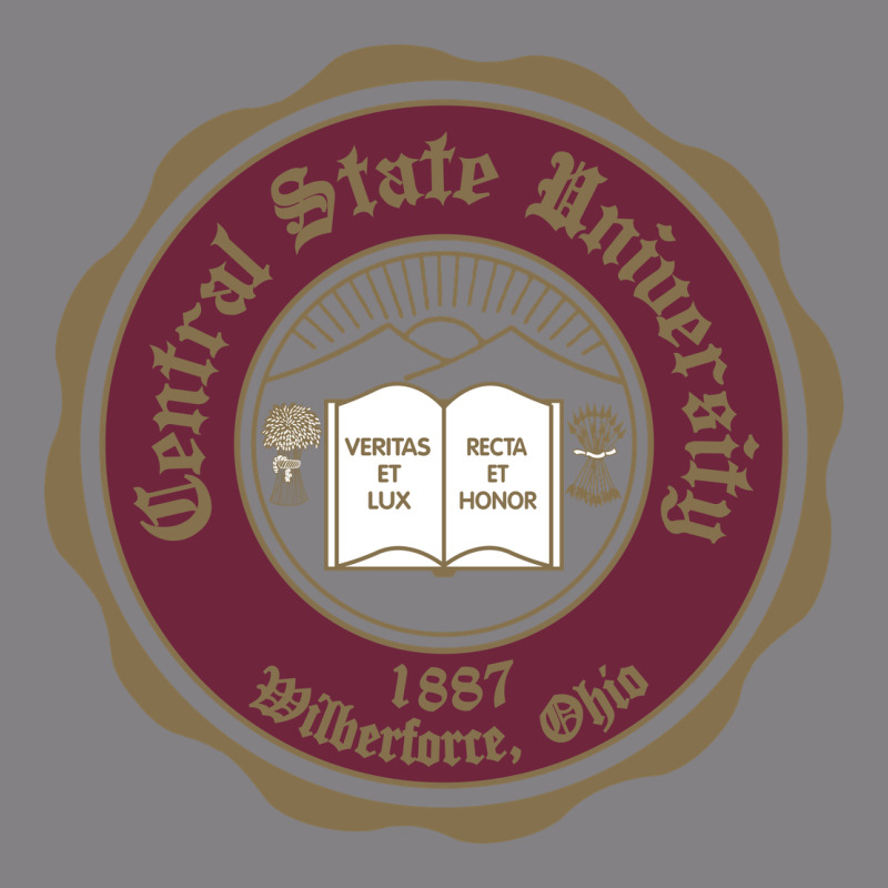 College Of  Central State Wilberfroce 1887 Heavyweight Hoodie by ArtChic | Teevron