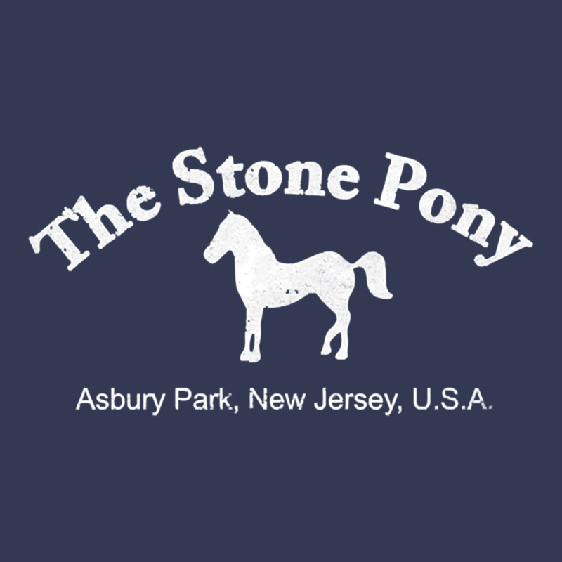 The Stone Pony Heavyweight Hoodie by StudioElite | Teevron