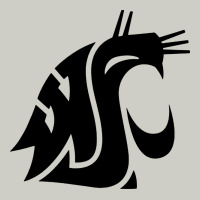 Washington State Cougars Football Heavyweight Hoodie | Teevron