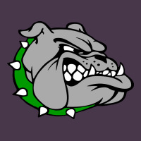 Ashville High School, Ashville Bulldogs Heavyweight Hoodie | Teevron