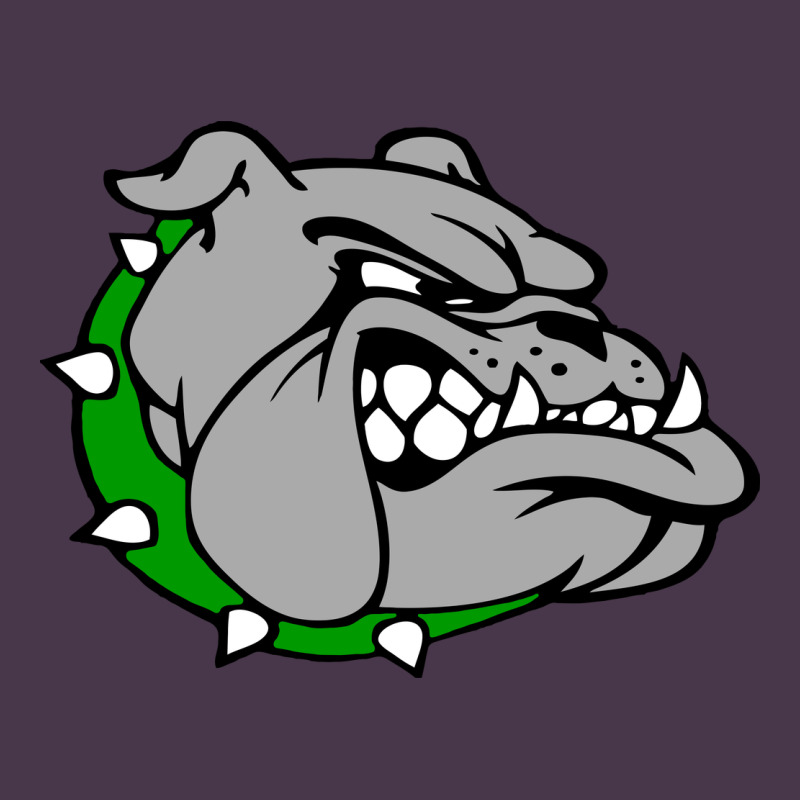Ashville High School, Ashville Bulldogs Heavyweight Hoodie by PixelFlow | Teevron