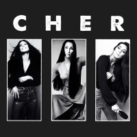 Cher, Cher Heart Of Stone, Cher Cher Cher Cher Cher, Cher Cher Cher Ch Heavyweight Hoodie | Teevron