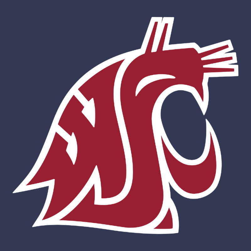 Washington State Cougars Heavyweight Hoodie by PixelFlow | Teevron
