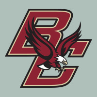 Boston College Eagl3s Heavyweight Hoodie | Teevron
