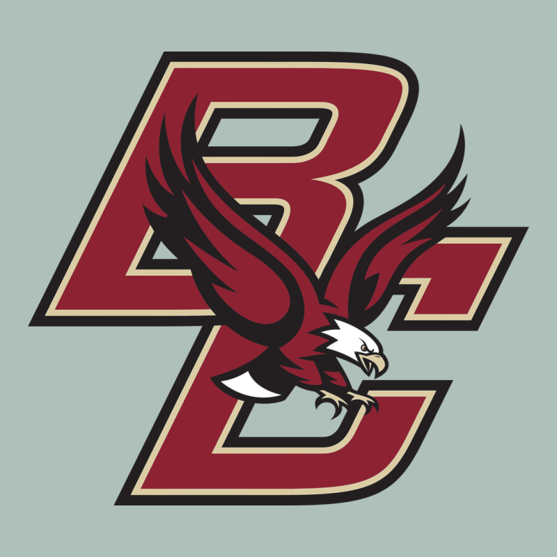 Boston College Eagl3s Heavyweight Hoodie by SnappyArt | Teevron