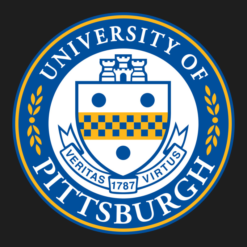 The-university-of-pittsburgh Heavyweight Hoodie by SnappyArt | Teevron