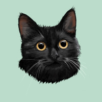 Bombay Cat Face Premium Hoodie | Teevron