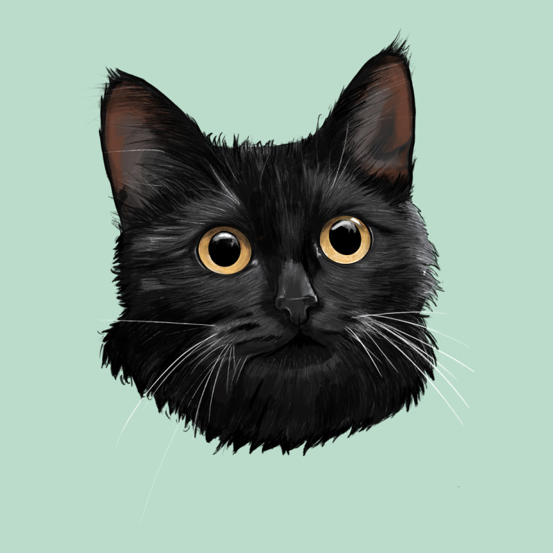 Bombay Cat Face Premium Hoodie by LillyAllenDesigns | Teevron