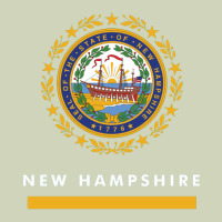 New Hampshire State Flag New Heavyweight Hoodie | Teevron