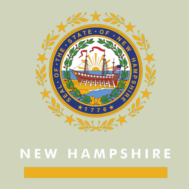 New Hampshire State Flag New Heavyweight Hoodie by SnappyArt | Teevron