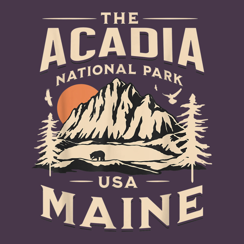 Acadia National Park Maine Nature Hike Outdoors Vintage T Shirt Heavyweight Hoodie by ArtMosaic | Teevron