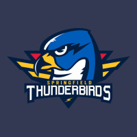 Springfield Thunderbirds Heavyweight Hoodie | Teevron