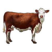 hereford cow | Teevron