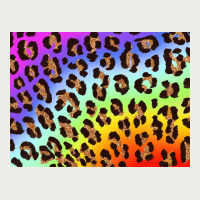 Leopard Background Rainbow 3200x2400 Zipper Hoodie | Teevron