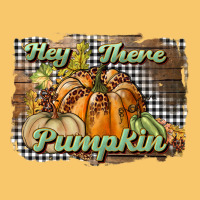 Hey There Pumpkin Vintage Hoodie | Teevron