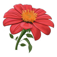 del sol sunflower | Teevron