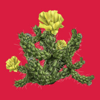 Whipple Cholla Cactus Premium Hoodie | Teevron