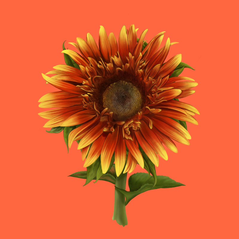 The  Sunflower Premium Hoodie by LillyAllenDesigns | Teevron