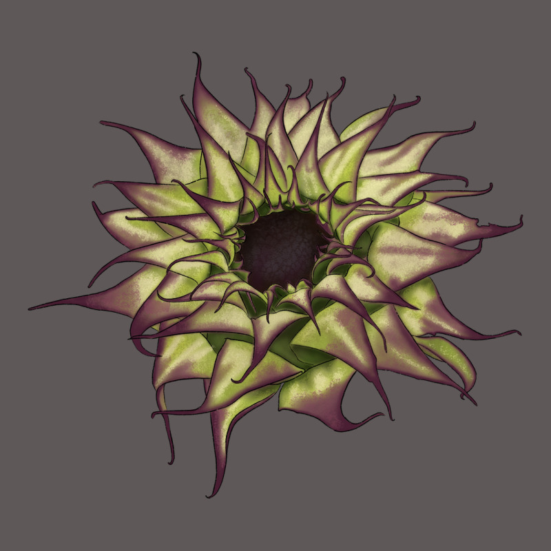 Sun   Fill Purple Sunflower Premium Hoodie by LillyAllenDesigns | Teevron