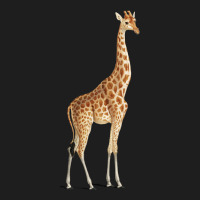 Giraffe Heavyweight Hoodie | Teevron